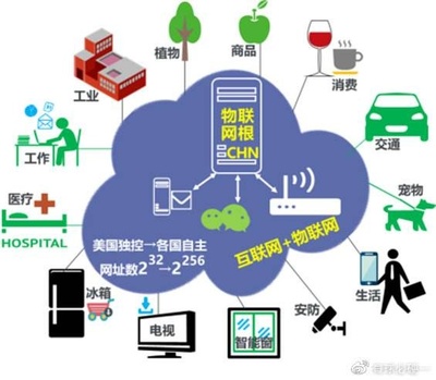 張暉視角下的物聯(lián)網(wǎng)標準建設挑戰(zhàn)與信息技術咨詢服務的關鍵角色